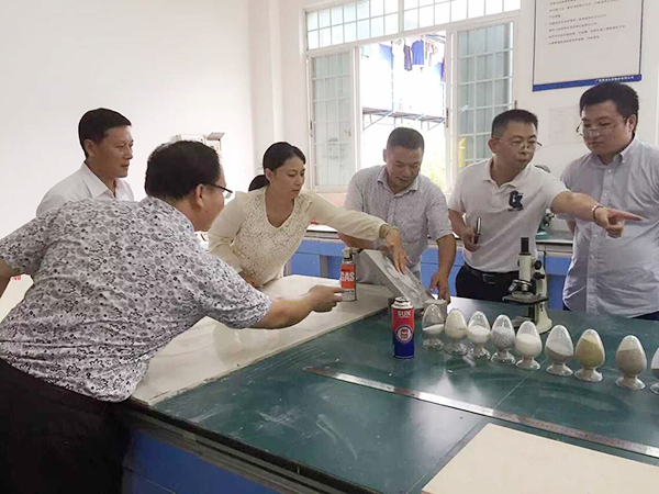 考察組考察青龍公司實(shí)驗(yàn) 防水卷材