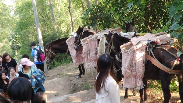 防水員工照 防水員工照